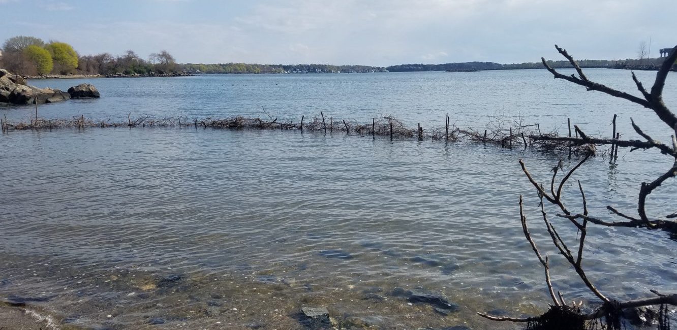 The Massachusett Tribe in Salem: Volunteer Support for Fish Weir
