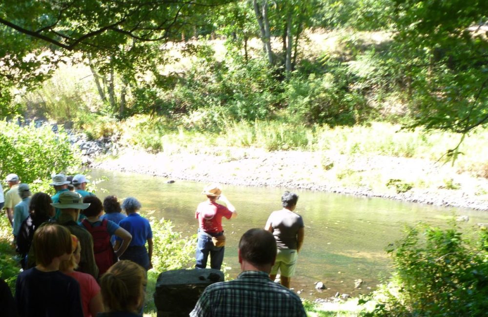 Hike and Learn About the Shawsheen River (RESCHEDULED)