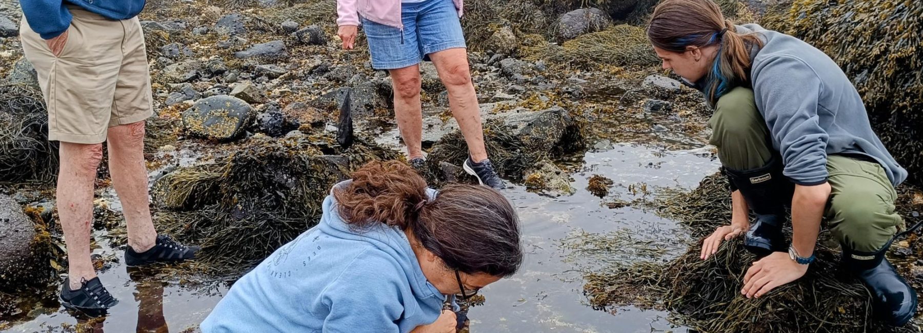 Tidepooling at Winter Island