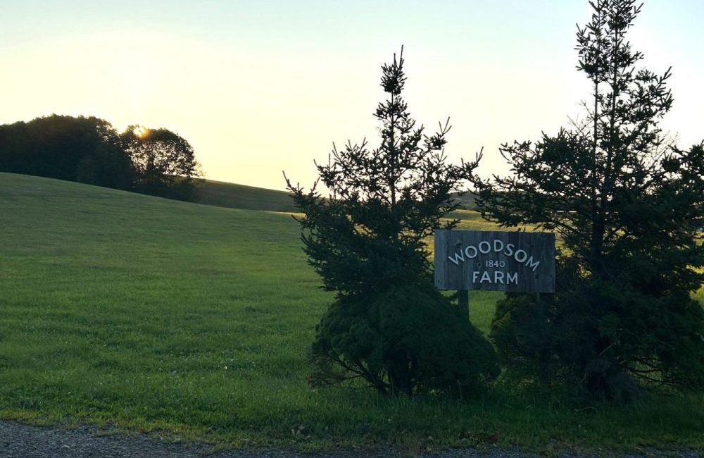 Amesbury Trails Nature and History Walk in “The Lion’s Mouth”